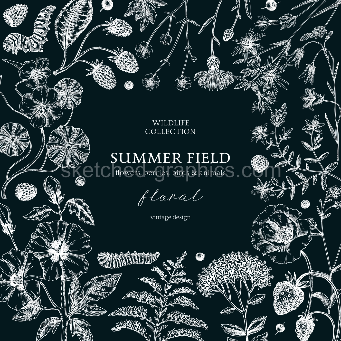 Wildflower Floral Frame Summer Background Illustration